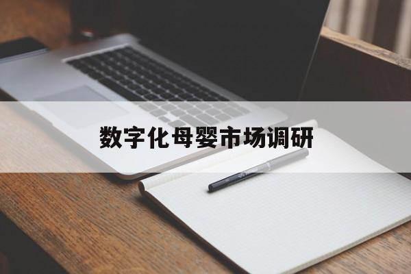 临夏市数字化母婴市场调研(数字化母婴市场调研报告)